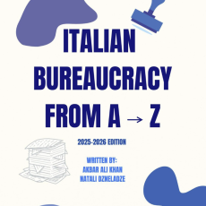 it bureacracy